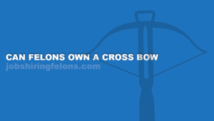 felon crossbow